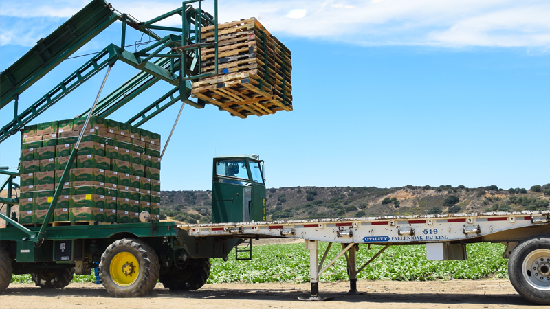 solucións para a industria alimentaria