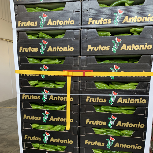 seguridade no transporte de alimentos