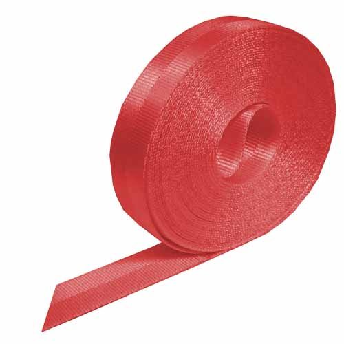 CINTA DE FIXACIÓN DE POLIÉSTER 25 MM